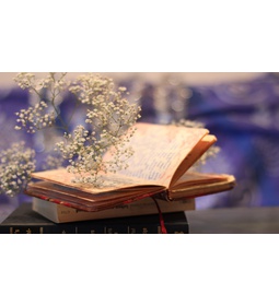 Детский литературно\u002Dпоэтический клуб \u0022Рифма\u0022